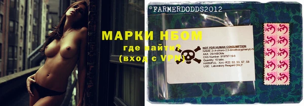 сатива Новодвинск