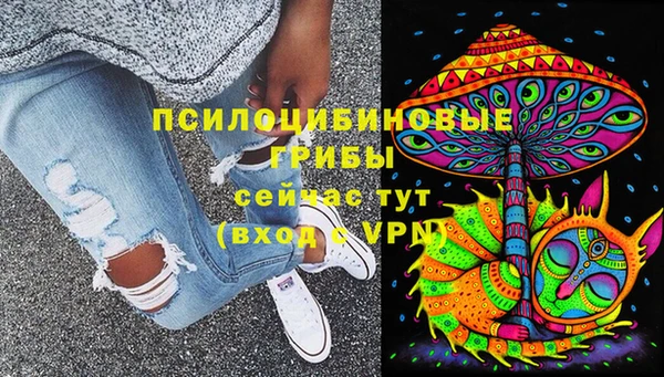 прущий лед Алексин