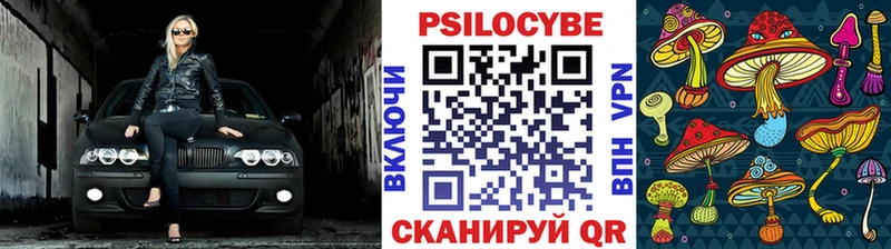 Галлюциногенные грибы Psilocybe  Камбарка 